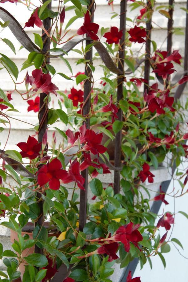 Appartamento Le Magnolie Mestre Kültér fotó