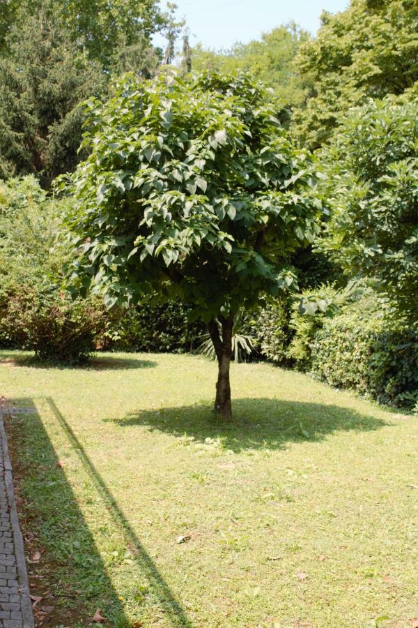 Appartamento Le Magnolie Mestre Kültér fotó